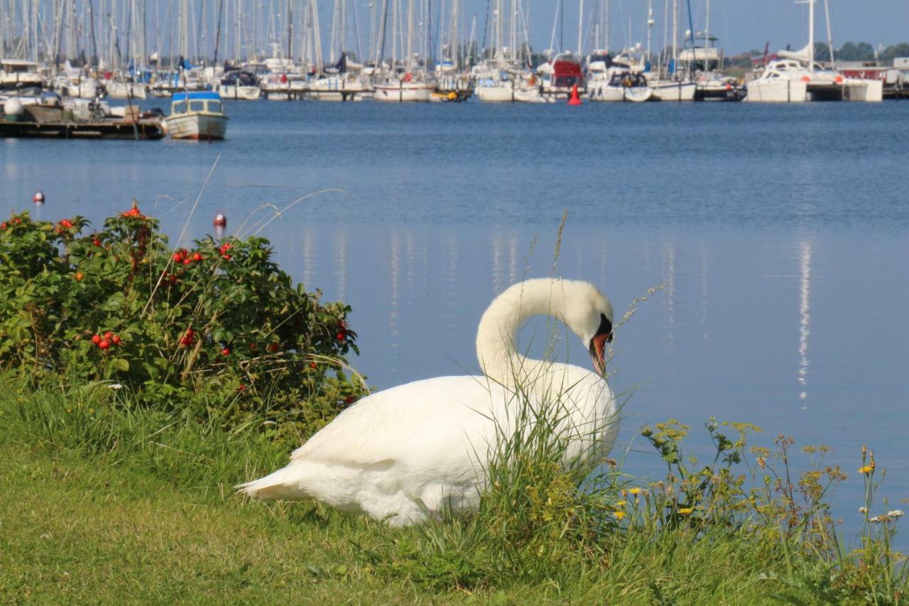 2Zi-Ferienwohnung Am Suedstrand Mit Eigenem Parkplatz Perfekt Fuer Familie Burgtiefe auf Fehmarn エクステリア 写真